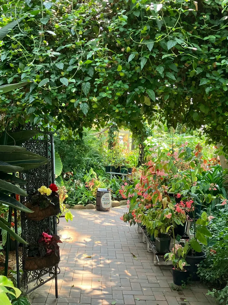 風鈴とひまわりが彩る夏の植物園！ 画像 6