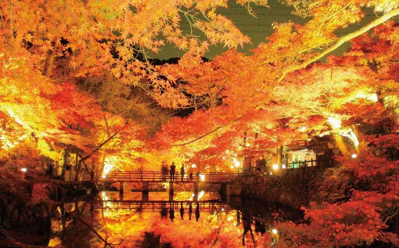 【夏休み直前】岩屋堂公園「くつろぎ処 福助」に新スポット誕生！ 画像 10
