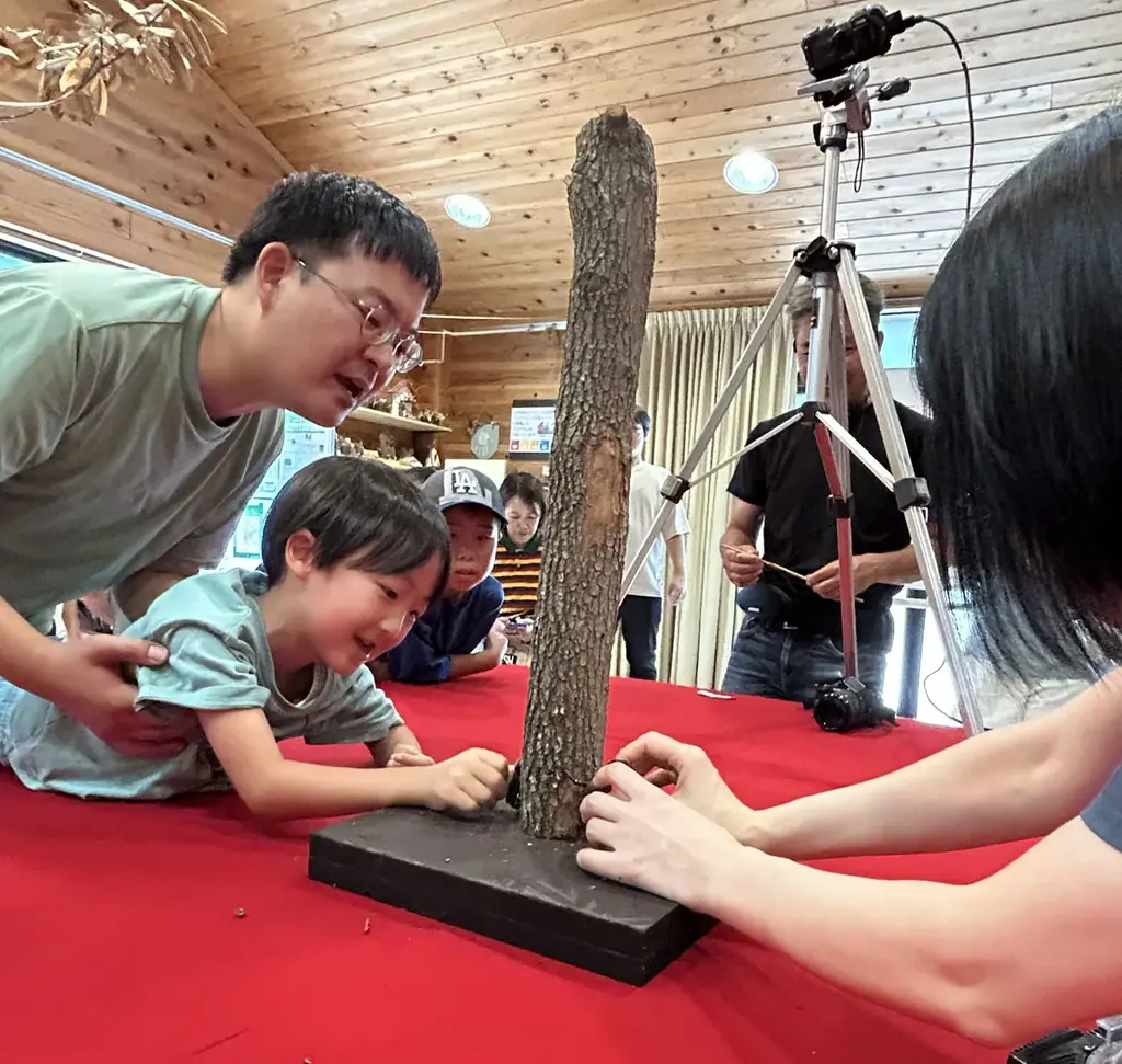 「サマーフェスタ」を開催します！（国営木曽三川公園138タワーパーク） 画像 12