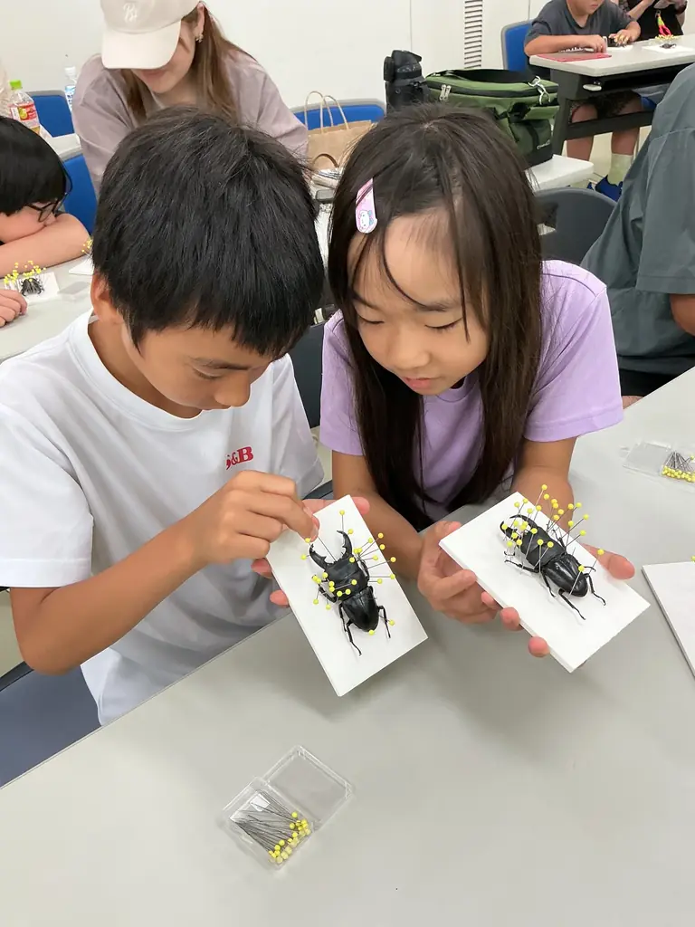 「サマーフェスタ」を開催します！（国営木曽三川公園138タワーパーク） 画像 15