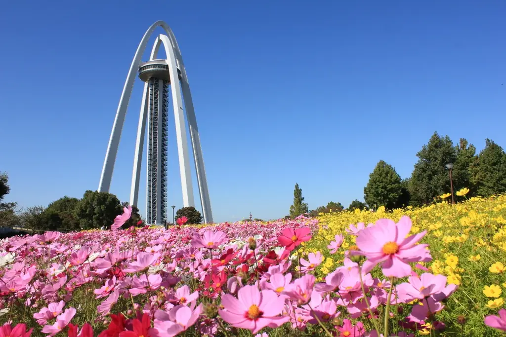 「サマーフェスタ」を開催します！（国営木曽三川公園138タワーパーク） 画像 29