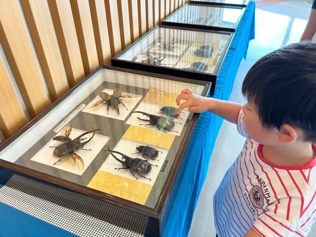 「サマーフェスタ」を開催します！（国営木曽三川公園138タワーパーク） 画像 6