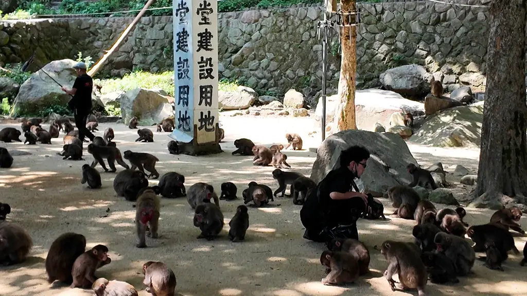 熊本発、スイス行き！九州ロケの映画『温泉シャーク2 九州大決戦』がスイス・NIFFFで世界初上映。9/4「九州の日」全国公開、8/2ジャパンプレミア・8/8新宿末廣亭深夜寄席も発表！ 画像 11