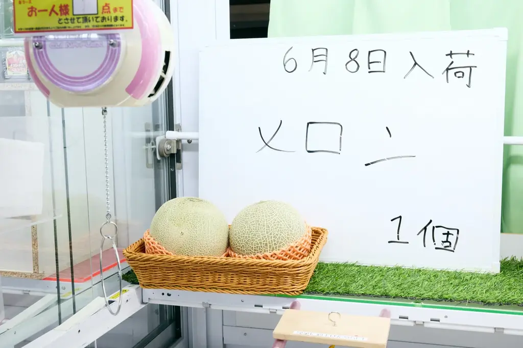 年間100万人が熱狂する”本当に獲れる”クレーンゲームの聖地『Benex』。大和店が外装を全面刷新し『爆獲れの聖地』として7/11リニューアルオープン！ 画像 9
