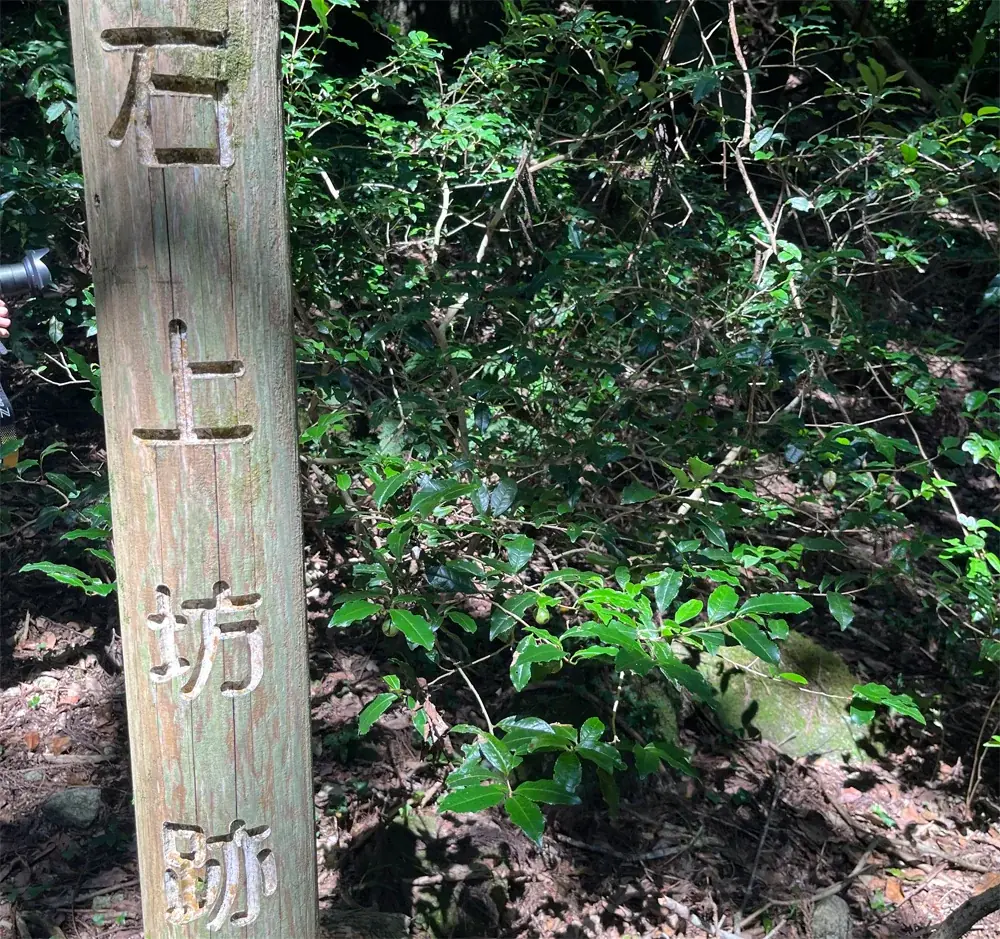 日本茶800年の歴史の起源に触れる。佐賀・脊振山に伝わる「栄西茶」東京講演2026、9月13日（日）に大妻女子大学にて開催決定！ 画像 2