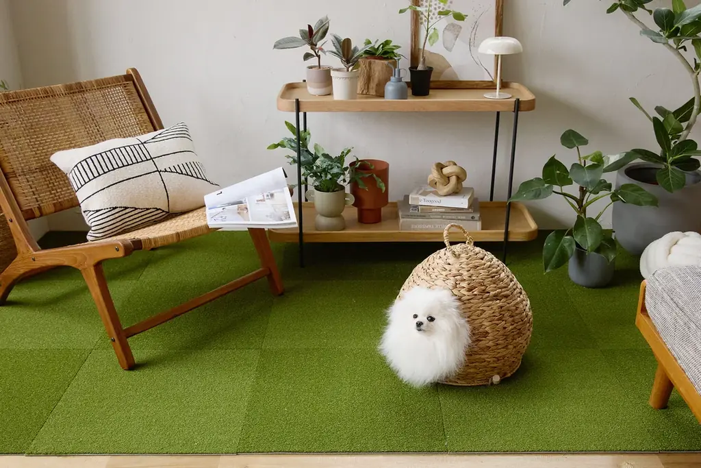 室内用人工芝ホームタイル”shiba-cocochi”ビッグサイズ限定サンプルを300名にプレゼント 画像 3