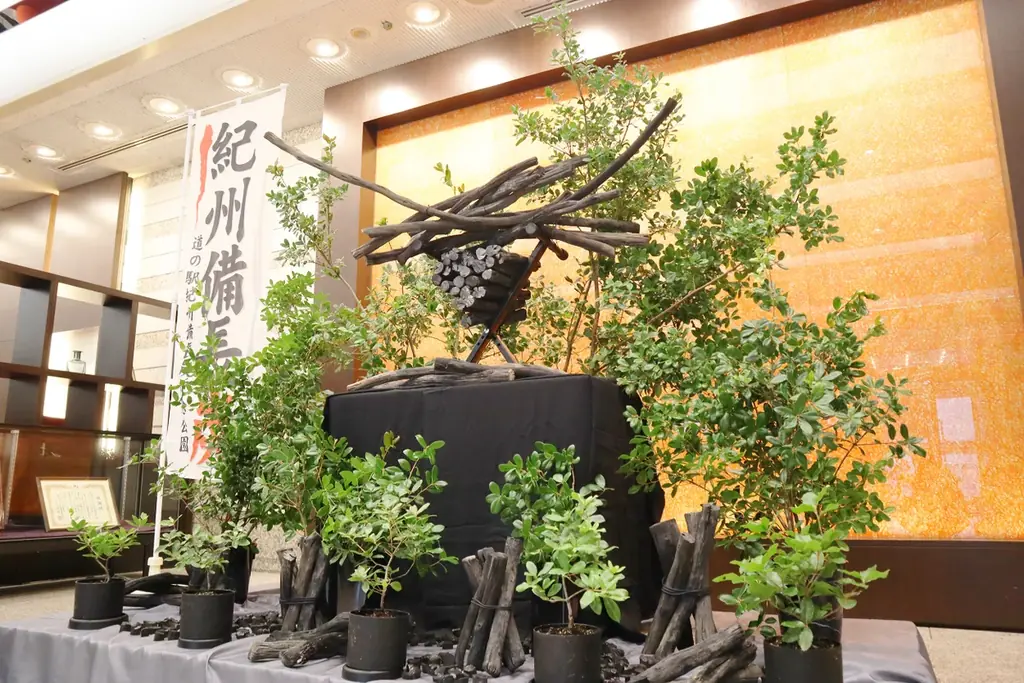 和歌山で五感体験：紀州備長炭のロビー展示