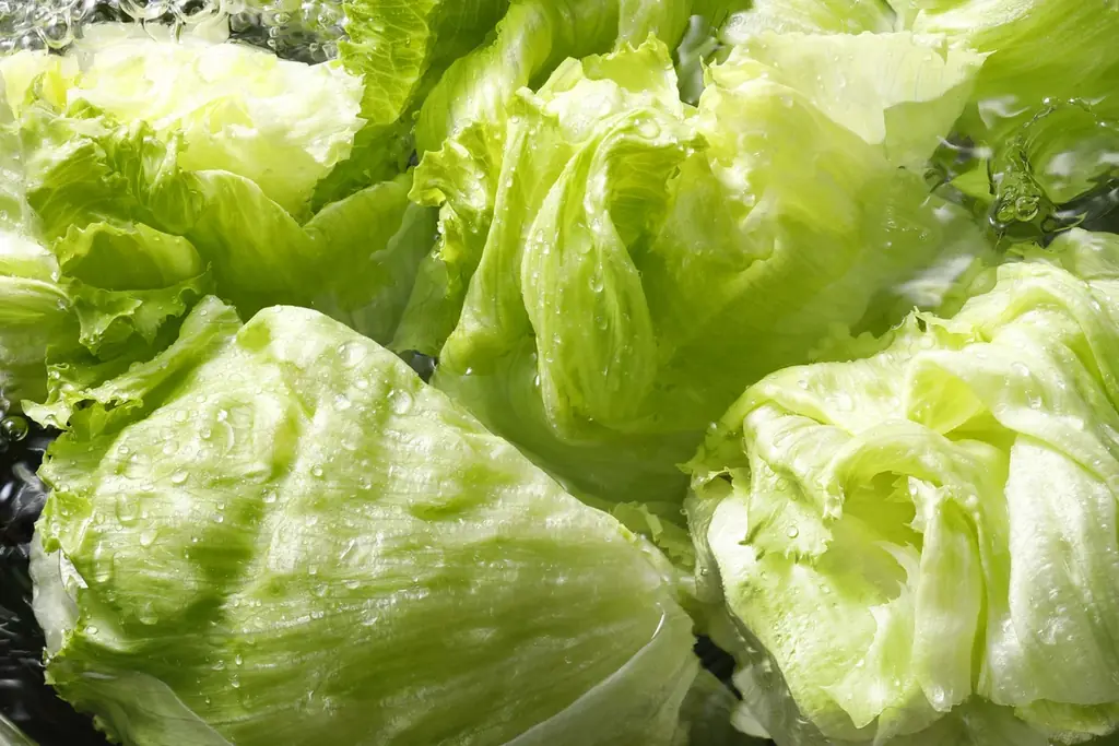 【しゃぶしゃぶ温野菜】夏休みのご家族を応援！食べ放題が「平日20%OFF/休日10%OFF」小学生半額・小学生未満無料でお子様連れも嬉しい！～肉も野菜もバランスよく楽しめる、夏にうれしいしゃぶしゃぶ～ 画像 14