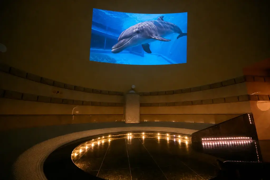 「温浴施設で“水族館体験”!?」猛暑の夏、福岡市東区の人気レジャー施設がタッグ！照葉スパリゾート×マリンワールド海の中道『マリンワールドフェア』開催 画像 3