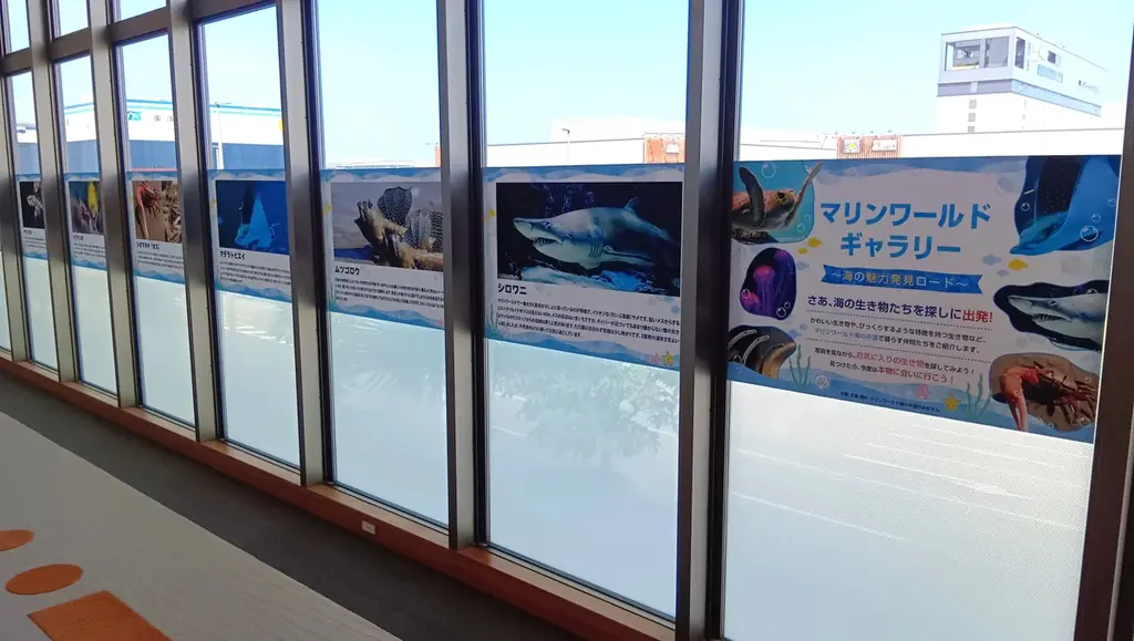 「温浴施設で“水族館体験”!?」猛暑の夏、福岡市東区の人気レジャー施設がタッグ！照葉スパリゾート×マリンワールド海の中道『マリンワールドフェア』開催 画像 6