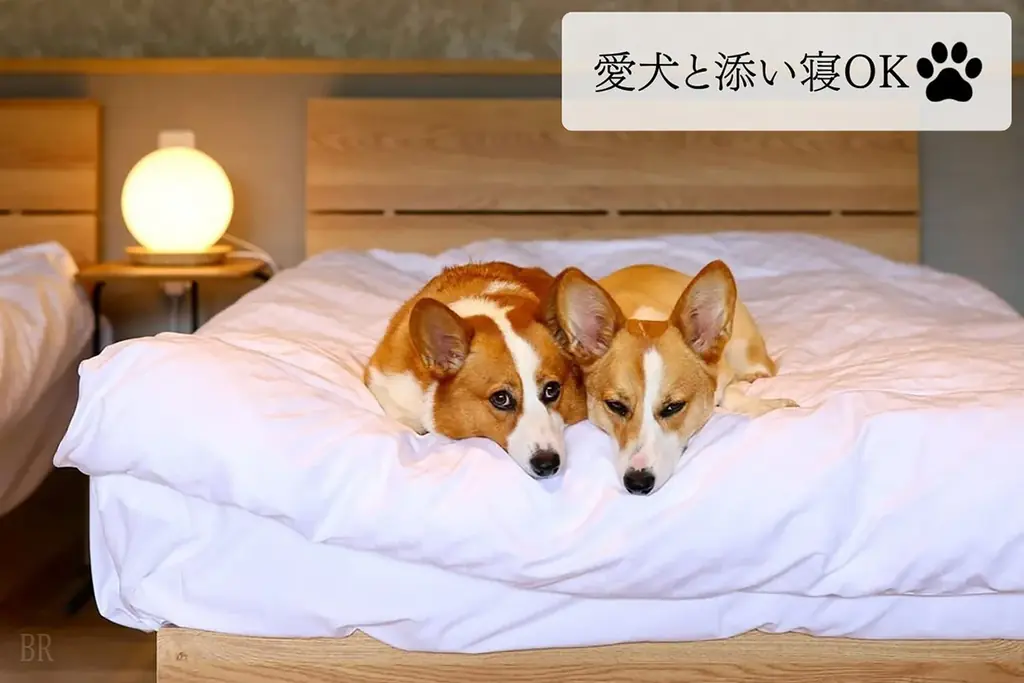 【埼玉・秩父】夜のプライベートプールに咲く「光の花火」。小学生以下無料＆貸切ヴィラで10種以上の夏体験を楽しむ”家族だけの、もうひとつの夏祭り”プラン販売開始＜秩父別邸 木叢 -komura-＞ 画像 24