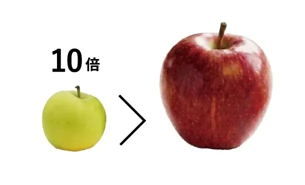 「スキンケアを頑張っているのに、なんだか物足りない」に、化粧品会社が真面目に取り組んだ結論。 画像 2
