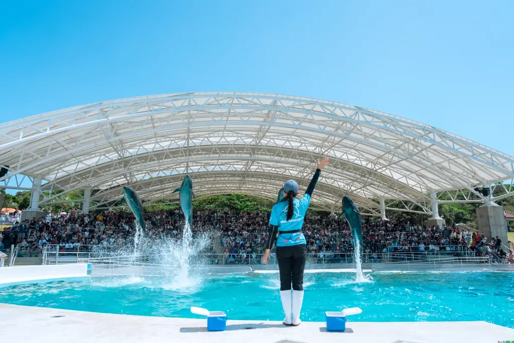 【沖縄美ら海水族館】海遊びはライフジャケットを着用しよう！「ムク」一日名護海上保安署長に就任！ 画像 2