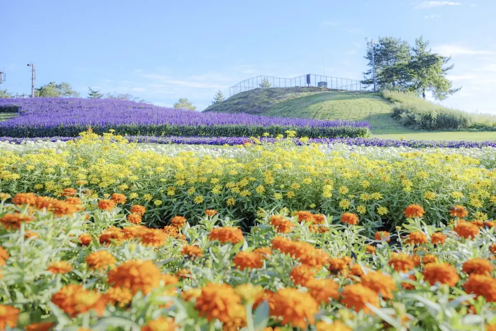 夏休みの思い出作りは「びわこ箱館山」で決まり！写真映えスポットで1日中遊べる絶景パーク＼7/18〜「びわこ箱館山」リニューアルオープン／ 画像 11