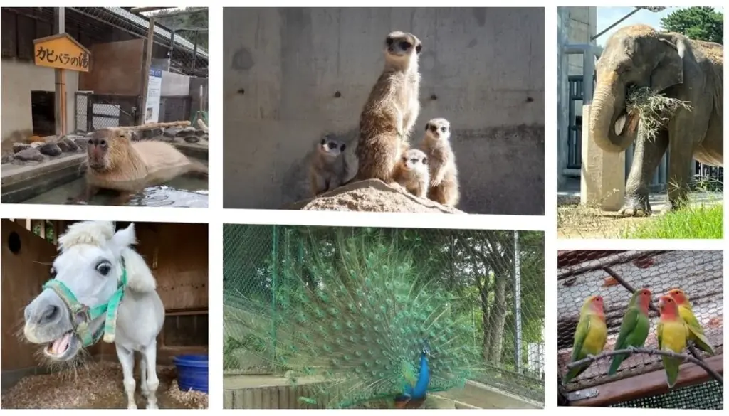 【岡崎市】銭湯が、地域の宝「東公園動物園」を応援。“ありが湯”の輪で未来へつなぐ♨ 画像 2