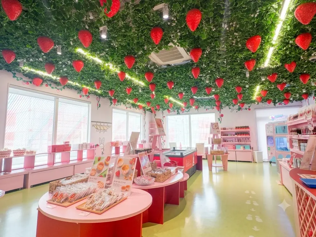 【出雲ICHIGO縁】この夏、水遊びと絶品夏グルメが勢揃い！「ウォーター＆グルメパーク in 出雲ICHIGO縁」開催決定！ 画像 5