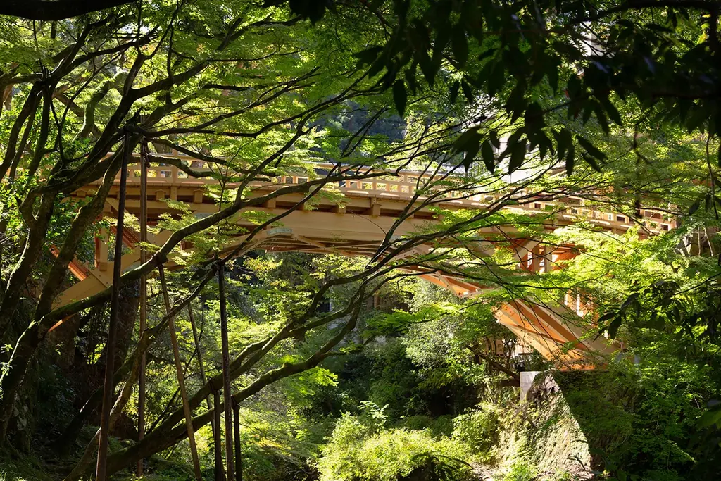石川 山中温泉【夏旅イチオシ】旬！剣先イカ姿造り＆夏の純米酒☆湯めぐり街歩き帖、ガソリン券付き♪ 画像 16