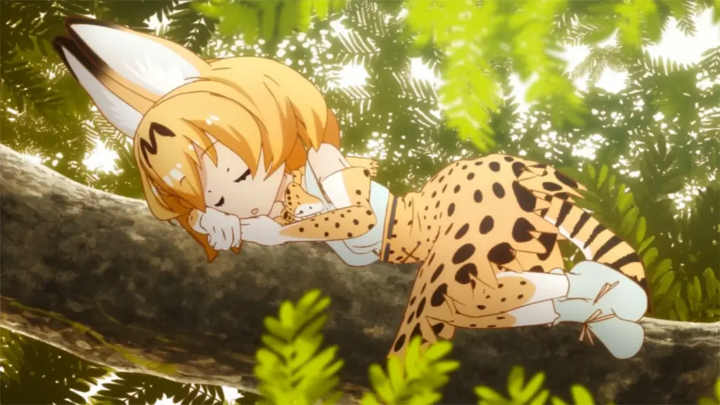 TVアニメ『けものフレンズ』第1期＆第2期を7月21日（火）、22日（水）に全話無料一挙放送！ 画像 3
