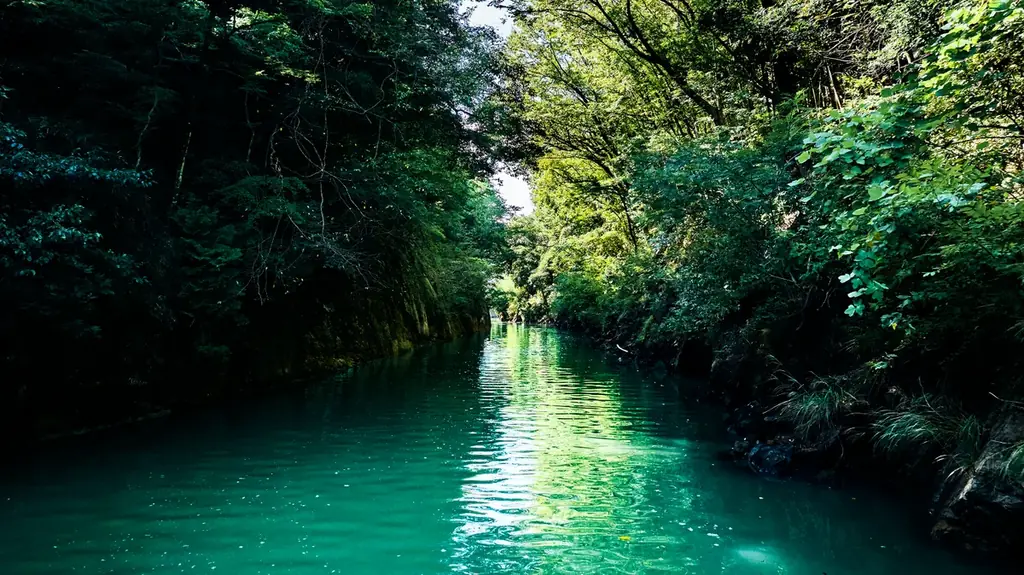 夏休みの自由研究は船の上で！ラムサール条約湿地・三方五湖をめぐる「自由研究クルーズ」8月7日開催［小学校高学年向け体験イベント］ 画像 1
