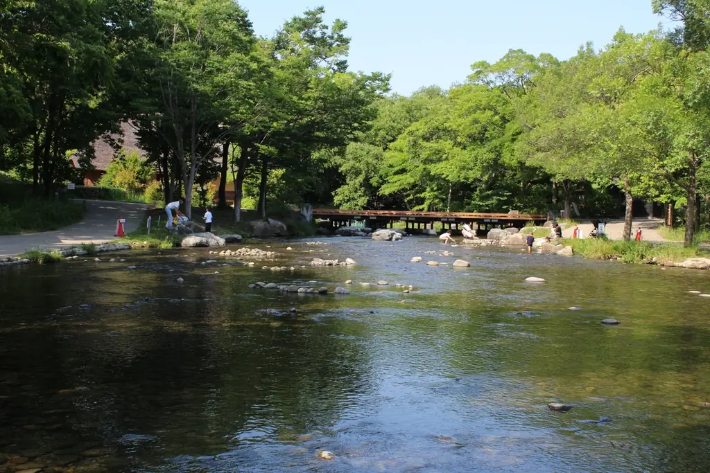 「夏の楽園祭」開催！（河川環境楽園） 画像 4