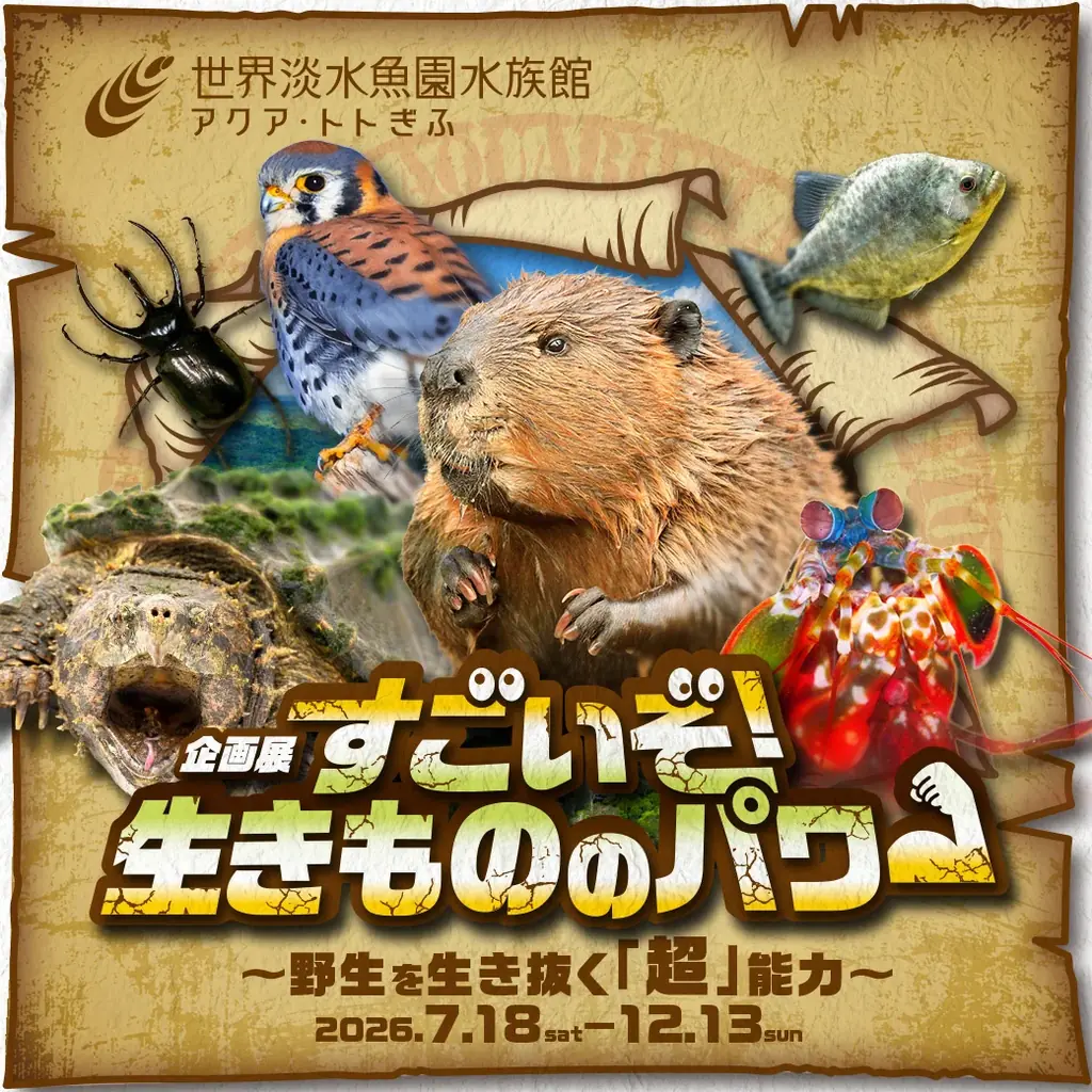 「夏の楽園祭」開催！（河川環境楽園） 画像 9