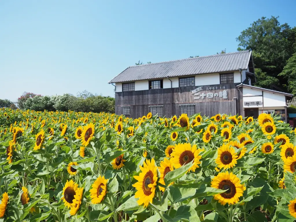 離島 小豆島で過ごす夏休みは格別　39年目の夏、二十四の瞳映画村 画像 5