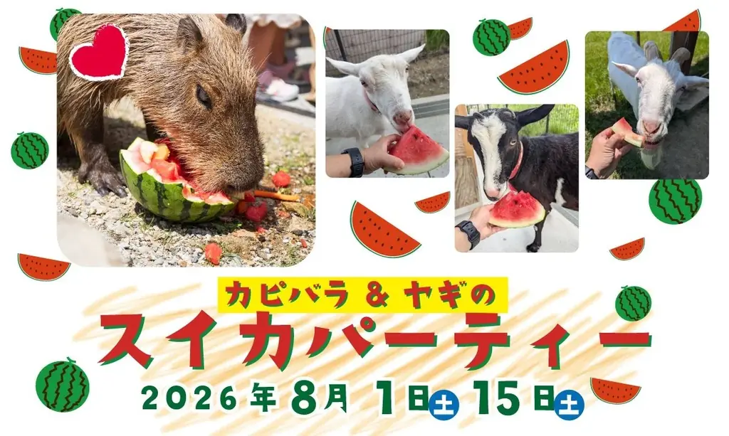 【水遊び】夏はやっぱり水遊び！3,500羽のアヒルと共に ～じゃぶじゃぶ広場～ 【ハーベストの丘】 画像 11