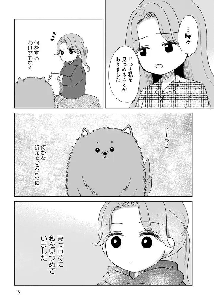 「うちに来て、きみは幸せ？」その答えが分かるようになる本。『うちの子、なんて言ってる？～動物対話士が紡ぐ、人とペットのきずな物語～』7月23日発売!! 画像 16