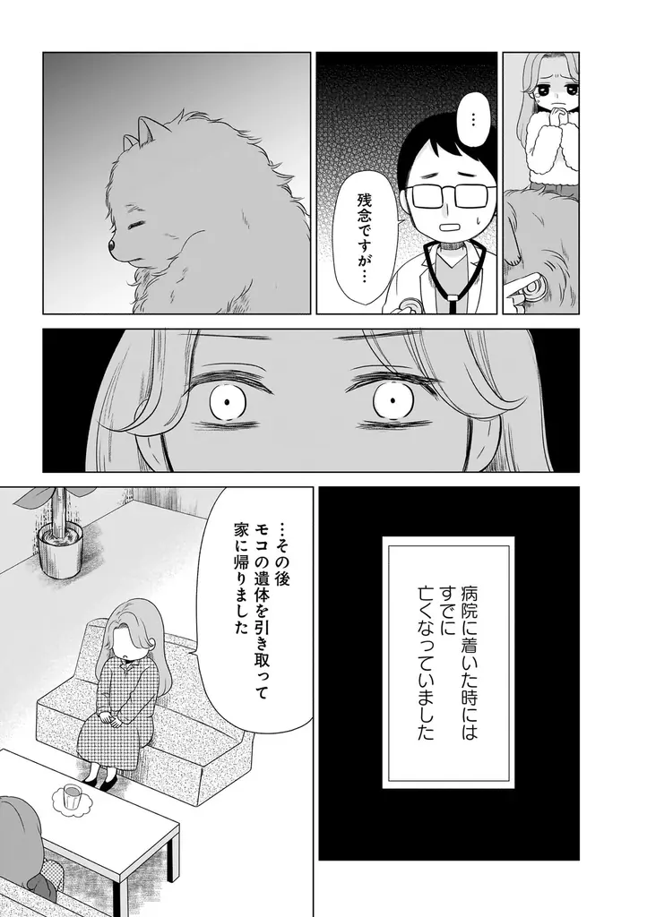「うちに来て、きみは幸せ？」その答えが分かるようになる本。『うちの子、なんて言ってる？～動物対話士が紡ぐ、人とペットのきずな物語～』7月23日発売!! 画像 7