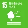 都心の中高層オフィスに木造✕鉄骨造のハイブリッドという新たな選択肢 サンケイビル初の木造中高層オフィスビル「KiGi AKIHABARA」開業 画像 19