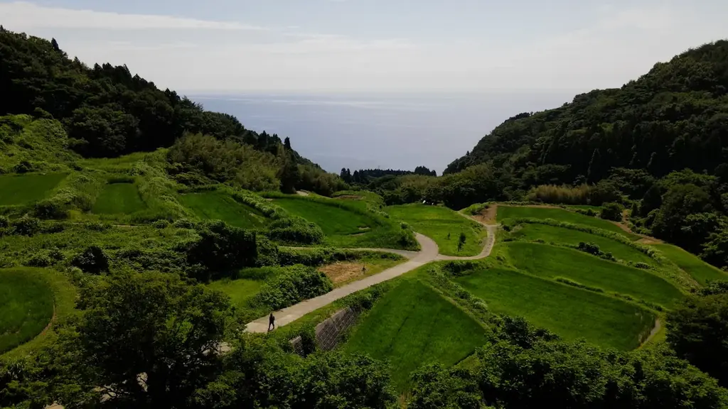【THEフィッシング】夏の離島・渓流旅　佐渡島ネイティブトラウト／7月25日(土)放送 画像 5