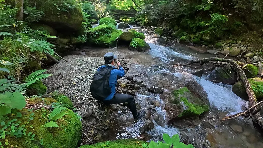 【THEフィッシング】夏の離島・渓流旅　佐渡島ネイティブトラウト／7月25日(土)放送 画像 9