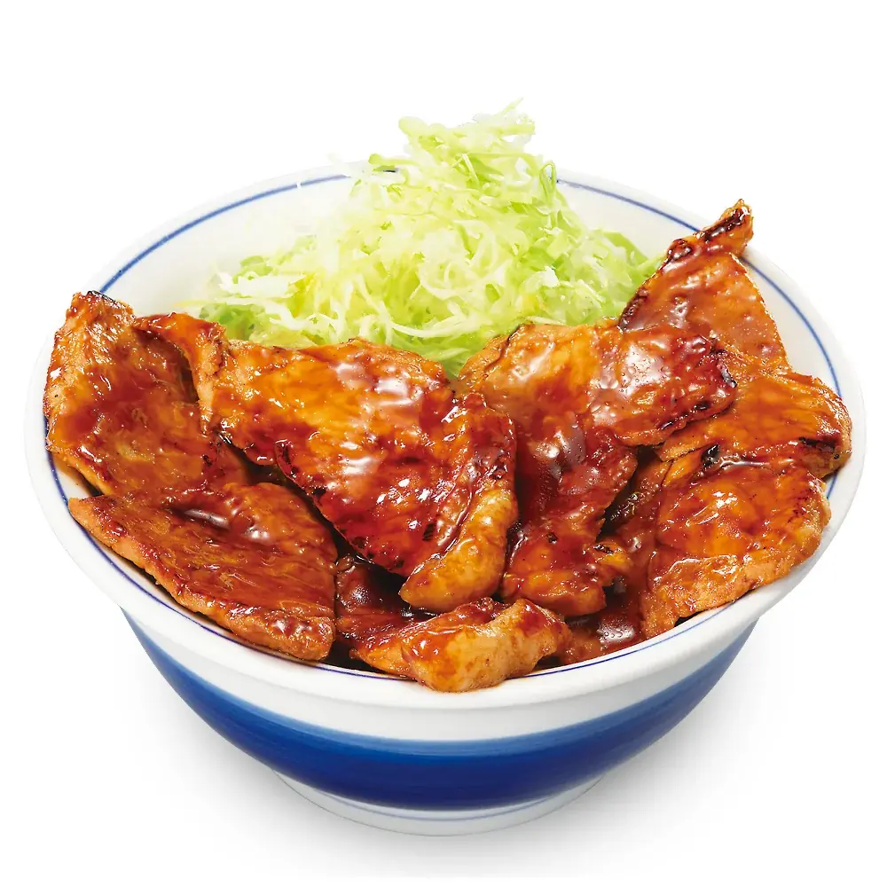 「ちょうどいい」も「お腹いっぱい」も、選べる楽しさ。かつやの新グランドメニューが7月27日（月）誕生！ 画像 4