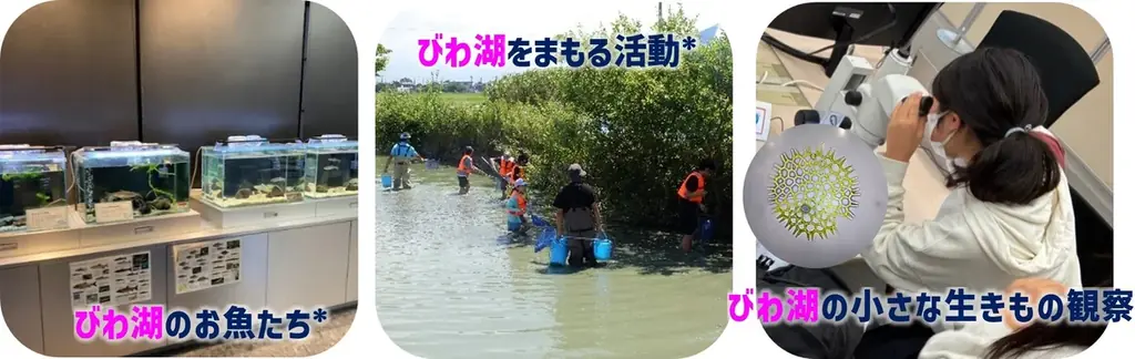 【8月8日（土）・9日（日）】アル・プラザ長浜にて『びわ湖わくわくミュージアム～見て・さわって・ビックリ体験！～』イベントを開催します 画像 2