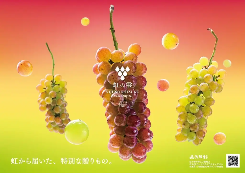 【阪神梅田本店】約50年にも及ぶ開発の末誕生した、大阪オリジナルぶどう「虹の雫」が本年初入荷します！ 画像 3