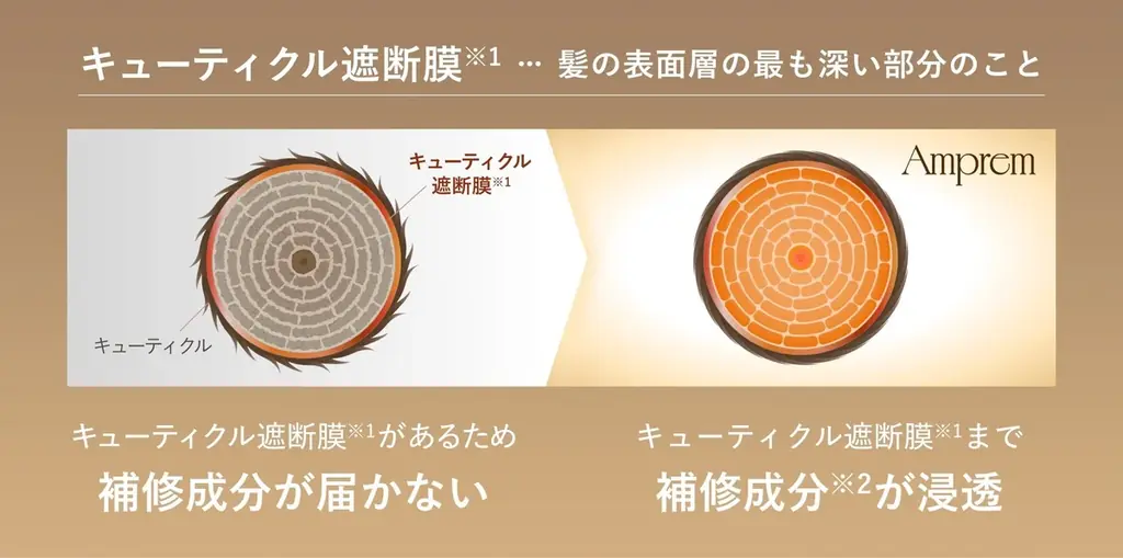 【世界初*1*2】ケラチン*3極限濃度6,800倍以上*4×高浸透密着処方で、髪を芯から満たす 新ヘアケアブランド『Amprem（アンプレム）』8月28日（金）誕生 画像 2