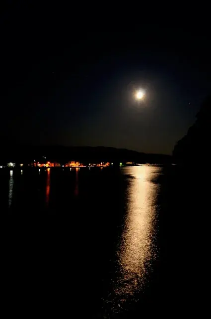 駿河湾の無人島で過ごす、忘れられない夏。淡島ホテルが夏限定のラウンジコンサート、星空観望会などのイベントを開催 画像 5