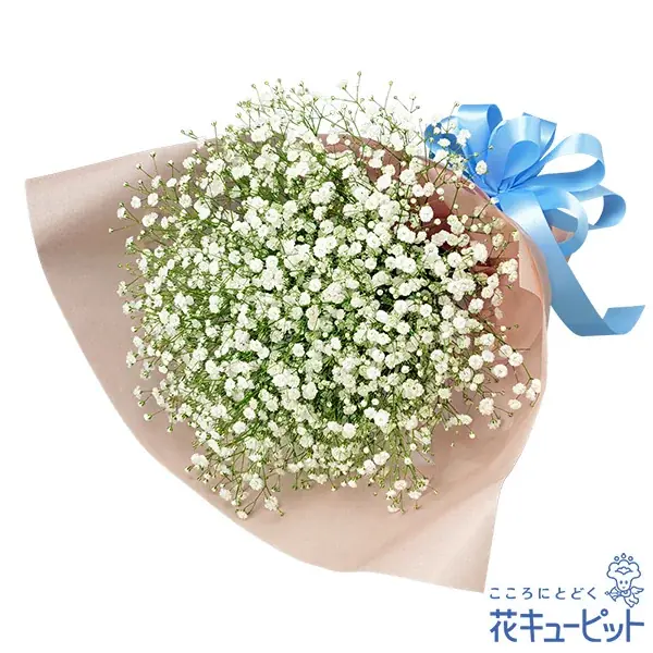 「コブクロ花日和」プロジェクト始動　メジャーデビュー25周年「コブクロ」と「花キューピット」が初コラボ 画像 2
