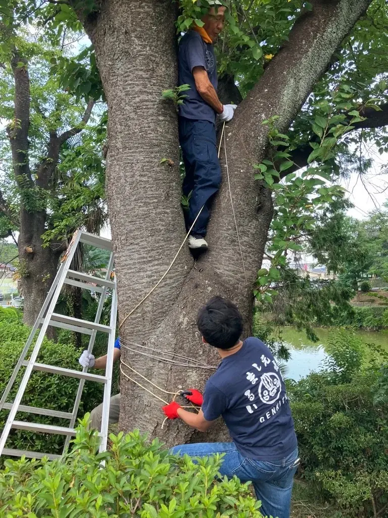 【埼玉県入間市】平日は市役所、週末は夏祭りへ。入間市の職員ボランティア「いるまし元気隊」、活動10年目の夏 画像 3