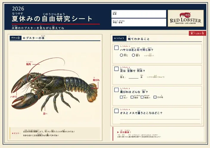 8月1日スタート｜家族で体験するレッドロブスターの夏自由研究