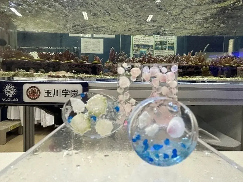 夏休みは横浜の海を体感しよう！「海」をテーマにした国内最大級のイベント『海洋都市横浜うみ博2026』開催 画像 6