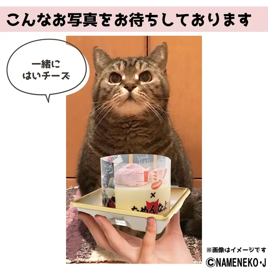 ネコちゃん専用ケーキと1980年代にブームになった「なめ猫」が夢のコラボ！「コミフ なめ猫とお祝い肉球ムース」が8月25日発売 画像 8
