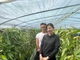 沖縄・読谷村の国産バニラ使用した「ふんわりどら焼・沖縄バニラ」を8月1日から期間限定で新発売 画像 5