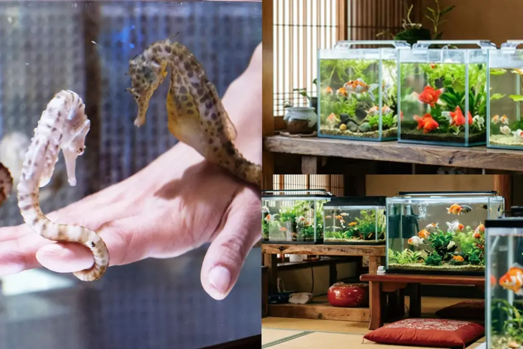 【佐賀玉屋】佐賀玉屋跡地を地域交流拠点「TAMAYA TERRACE」として始動。「Splash Cool Garden」を8月1日(土)より開催。 画像 6