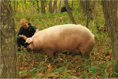 北海道・十勝の恵みでつくる「パンが主役」の新しい食体験。天然酵母ベーカリー「BREAD & BEAN by B²」が西荻窪に8月13日グランドオープン 画像 8