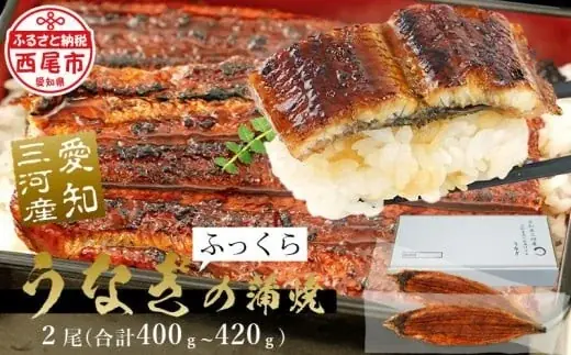 *うなぎ生産量全国トップクラス！*愛知県西尾市の*全11社と結集し*「三河一色産うなぎ」が当たるキャンペーン開催【ふるさと納税】 画像 18
