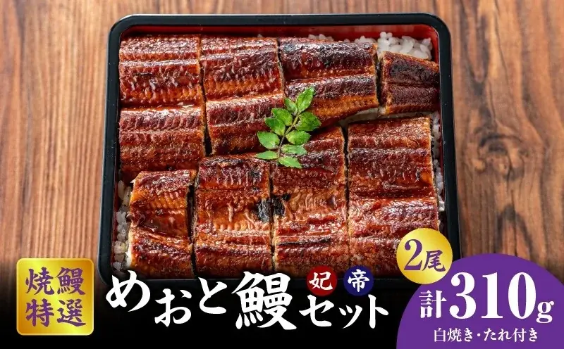 *うなぎ生産量全国トップクラス！*愛知県西尾市の*全11社と結集し*「三河一色産うなぎ」が当たるキャンペーン開催【ふるさと納税】 画像 21