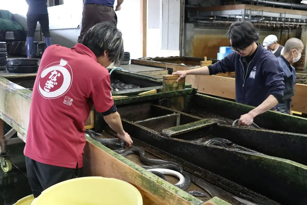 *うなぎ生産量全国トップクラス！*愛知県西尾市の*全11社と結集し*「三河一色産うなぎ」が当たるキャンペーン開催【ふるさと納税】 画像 4