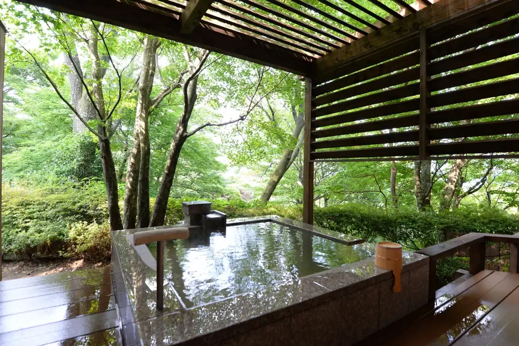 箱根・強羅の高級温泉旅館「玄 箱根強羅」、全面改修を完了した大浴場を7月にリニューアルオープン　モダンなデザインと間欠ミストが織りなす幻想的な湯浴み空間へ 画像 9