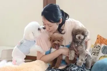 91％の飼い主が愛犬の熱中症を心配。猛暑の夏に、わんこのための夏バテ対策メニューを８月３日（月）より提供開始 画像 12